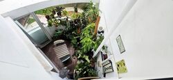 Blk 289C Nature View (Bukit Batok), HDB Executive #572247161
